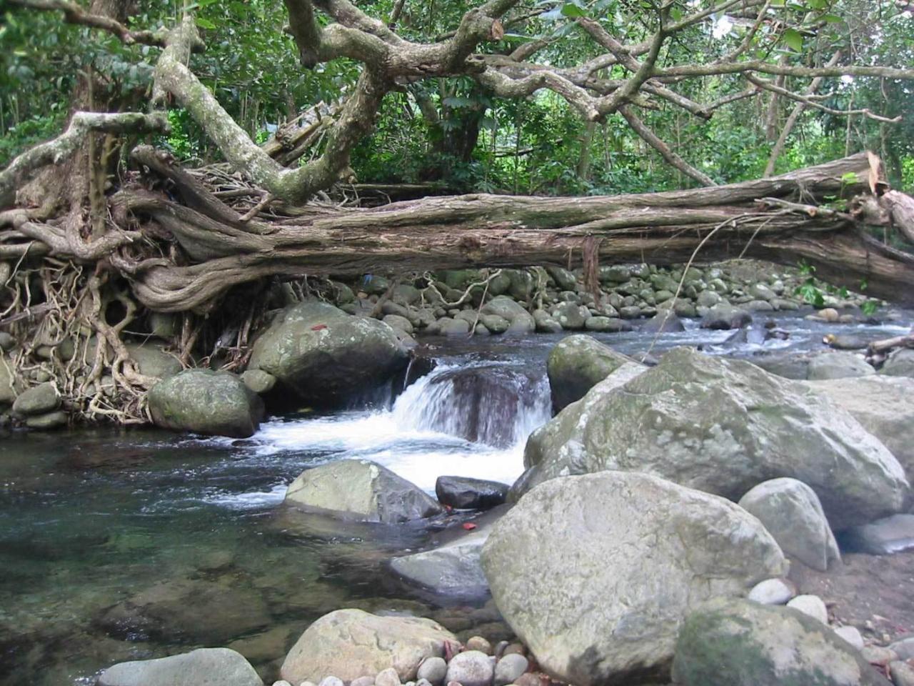 Citrus Creek Plantation Villa La Plaine Buitenkant foto